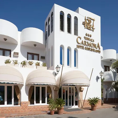Hotel Terraza Carmona-2